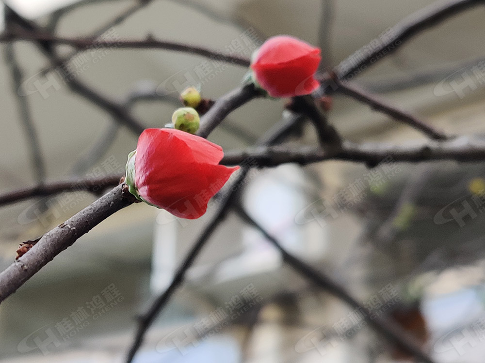 桂林鴻程花團(tuán)錦簇，滿園春色，邀您一起共賞春景，共商大計(jì)！
