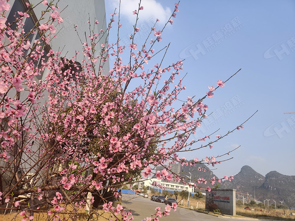 桂林鴻程花團(tuán)錦簇，滿園春色，邀您一起共賞春景，共商大計(jì)！